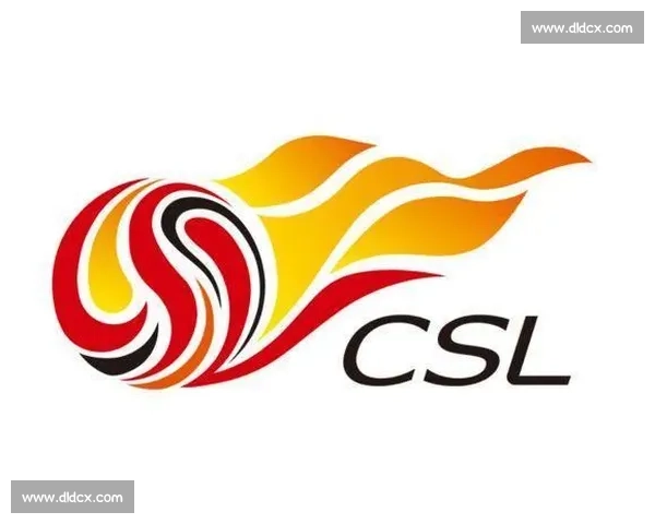 足球俱乐部财务状况分析与影响因素探讨 足球俱乐部财务状况分析与影响因素探讨